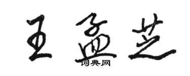 骆恒光王孟芝行书个性签名怎么写