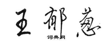 骆恒光王郁葱行书个性签名怎么写