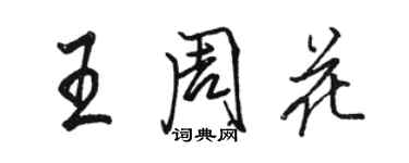 骆恒光王周花行书个性签名怎么写