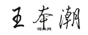 骆恒光王本潮行书个性签名怎么写