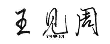 骆恒光王见周行书个性签名怎么写