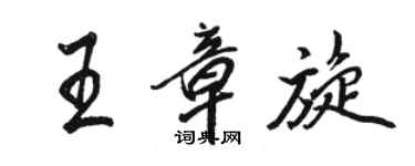 骆恒光王章旋行书个性签名怎么写