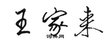 骆恒光王家来行书个性签名怎么写