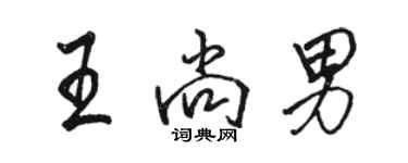 骆恒光王尚男行书个性签名怎么写