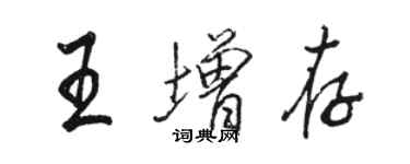 骆恒光王增存行书个性签名怎么写