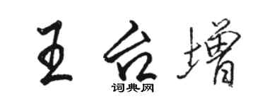 骆恒光王台增行书个性签名怎么写