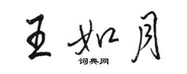 骆恒光王如月行书个性签名怎么写