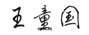 骆恒光王童国行书个性签名怎么写