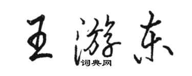 骆恒光王游东行书个性签名怎么写
