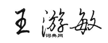 骆恒光王游敏行书个性签名怎么写