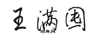 骆恒光王满囤行书个性签名怎么写