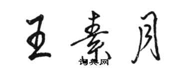 骆恒光王素月行书个性签名怎么写