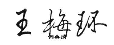 骆恒光王梅环行书个性签名怎么写
