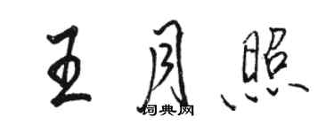 骆恒光王月照行书个性签名怎么写