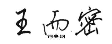 骆恒光王而密行书个性签名怎么写