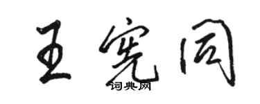 骆恒光王宪同行书个性签名怎么写