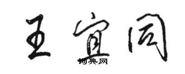 骆恒光王宜同行书个性签名怎么写