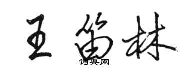 骆恒光王笛林行书个性签名怎么写