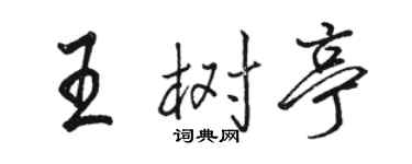 骆恒光王树亭行书个性签名怎么写