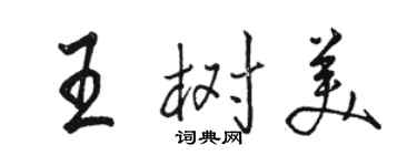 骆恒光王树美行书个性签名怎么写