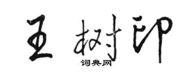 骆恒光王树印行书个性签名怎么写