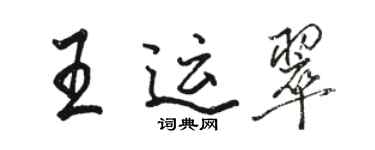 骆恒光王运翠行书个性签名怎么写