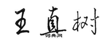 骆恒光王直树行书个性签名怎么写