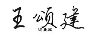 骆恒光王颂建行书个性签名怎么写
