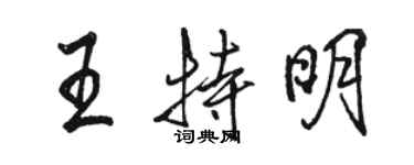 骆恒光王特明行书个性签名怎么写