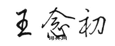 骆恒光王念初行书个性签名怎么写