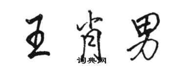 骆恒光王肖男行书个性签名怎么写