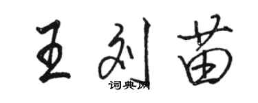 骆恒光王刘苗行书个性签名怎么写