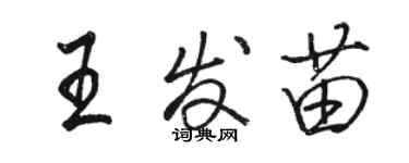 骆恒光王发苗行书个性签名怎么写