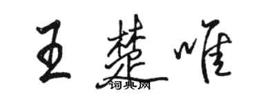 骆恒光王楚唯行书个性签名怎么写