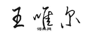 骆恒光王唯尔行书个性签名怎么写