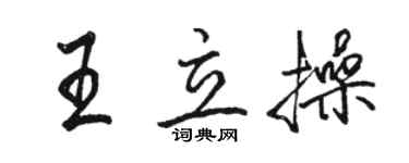骆恒光王立操行书个性签名怎么写