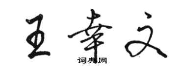骆恒光王幸文行书个性签名怎么写