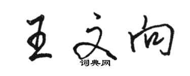 骆恒光王文向行书个性签名怎么写