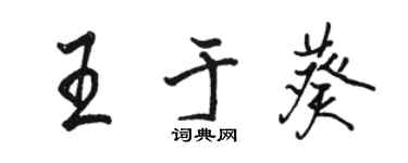 骆恒光王于葵行书个性签名怎么写