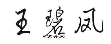 骆恒光王碧凤行书个性签名怎么写