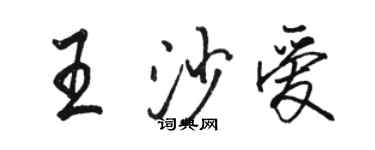 骆恒光王沙爱行书个性签名怎么写