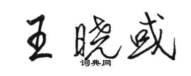 骆恒光王晓或行书个性签名怎么写