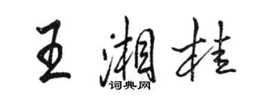 骆恒光王湘桂行书个性签名怎么写