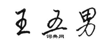 骆恒光王五男行书个性签名怎么写