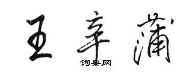 骆恒光王辛蒲行书个性签名怎么写