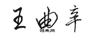 骆恒光王曲辛行书个性签名怎么写