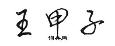 骆恒光王甲子行书个性签名怎么写
