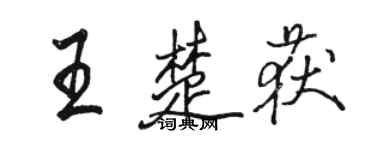 骆恒光王楚获行书个性签名怎么写
