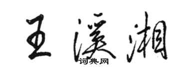 骆恒光王溪湘行书个性签名怎么写