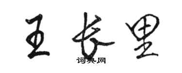 骆恒光王长里行书个性签名怎么写